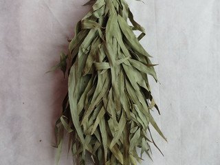 Веник эвкалиптовый без упаковки
