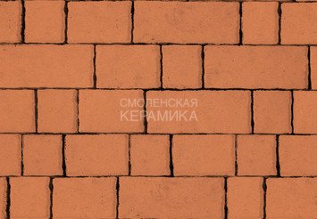 Тротуарная плитка STEINRUS Старый Город оранжевый, 60 мм 1