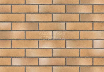 Клинкерная плитка TERRAMATIC Plato Rosso AC9104 3