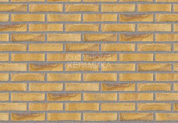 Клинкерный состаренный кирпич Randers Tegl Unika RT 532, DNF 228X108X54 мм 4