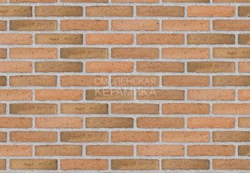 Клинкерный состаренный кирпич Randers Tegl Classica RT 433, ECO-DNF 228X50X54 мм 3