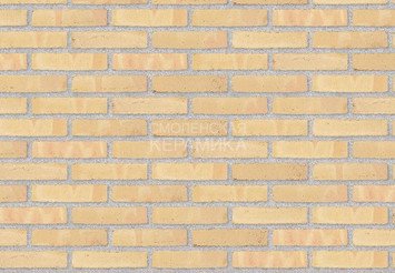 Клинкерный состаренный кирпич Randers Tegl Classica RT 215, ECO-DNF 228X50X54 мм 2