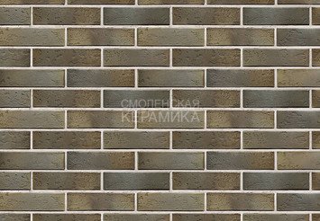 Кирпич керамический BRAER PRO 2.10, 1 НФ 4