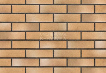 Клинкерная плитка TERRAMATIC Plato Rosso AC9104 1