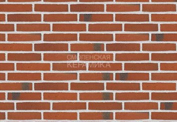 Клинкерный состаренный кирпич Randers Tegl Classica RT 406, ECO-DNF 228X50X54 мм 3