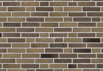 Клинкерный состаренный кирпич Randers Tegl Unika RT 531, DNF 228X108X54 мм 4