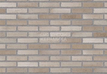 Клинкерный состаренный кирпич Randers Tegl Unika RT 554, DNF 228X108X54 мм 1