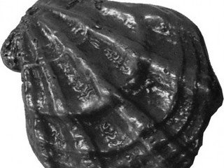 Камень чугунный "Ракушка малая" 97х79х42мм КЧР-3 NEW