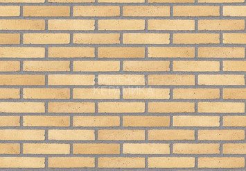 Клинкерный состаренный кирпич Randers Tegl Classica RT 209, DNF 228X108X54 мм 3