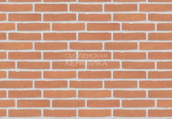 Клинкерный состаренный кирпич Randers Tegl Classica RT 435, ECO-DNF 228X50X54 мм 1