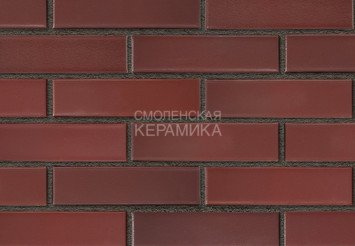 Кирпич лицевой керамический RECKE 1НФ арт. 5-92-00-0-00 1