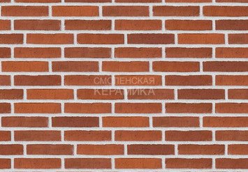 Клинкерный состаренный кирпич Randers Tegl Classica RT 483, ECO-DNF 228X50X54 мм 3