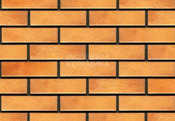 Фасадная термопанель рядовая АЛЯСКА 25. Retro brick curry, 60 мм 1