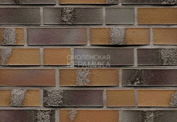 Клинкерная плитка для фасада Feldhaus Klinker R564NF14* 1