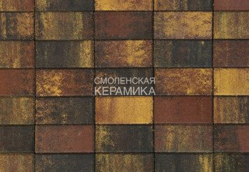 Тротуарная плитка BRAER Прямоугольник Color Mix Мальва, 40 мм 1