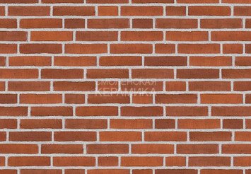 Клинкерный состаренный кирпич Randers Tegl Classica RT 483, ECO-DNF 228X50X54 мм 4