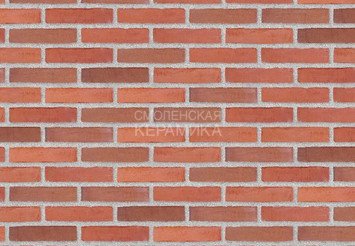 Клинкерный состаренный кирпич Randers Tegl Classica RT 448, ECO-DNF 228X50X54 мм 2