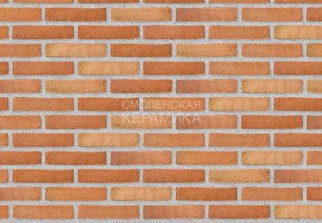 Клинкерный состаренный кирпич Randers Tegl Prima RT 499, DNF 228X108X54 мм 3