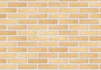 Клинкерный состаренный кирпич Randers Tegl Classica RT 209, DNF 228X108X54 мм 2