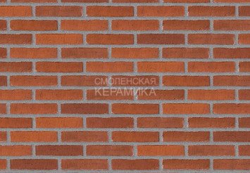 Клинкерный состаренный кирпич Randers Tegl Classica RT 483, ECO-DNF 228X50X54 мм 2