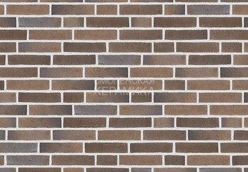 Клинкерный состаренный кирпич Randers Tegl Prima RT 434, ECO-DNF 228X50X54 мм 3