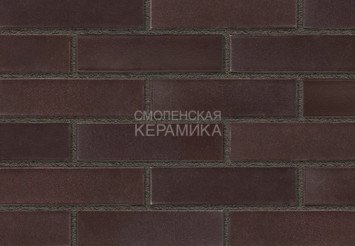 Кирпич лицевой керамический RECKE 1НФ арт. 5-72-00-0-00 7