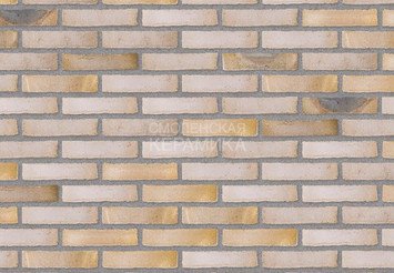 Клинкерный состаренный кирпич Randers Tegl Unika RT 547, DNF 228X108X54 мм 1