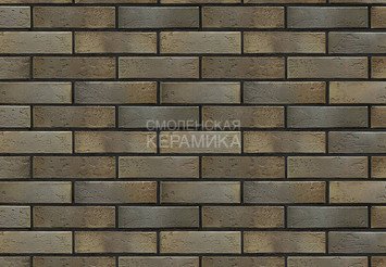 Кирпич керамический BRAER PRO 2.10, 1 НФ 3