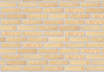 Клинкерный состаренный кирпич Randers Tegl Classica RT 215, ECO-DNF 228X50X54 мм 1