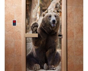 Дверь бан. DW (с фотопечатью) 1900*700 кор. ольха А061