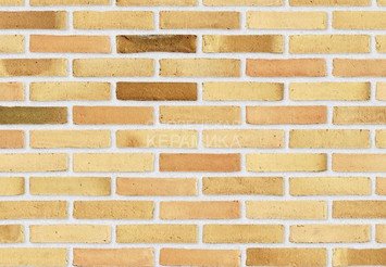 Клинкерный состаренный кирпич Randers Tegl Fusion RT 573, DNF 228X108X54 мм 2