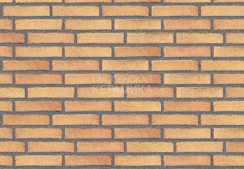 Клинкерный состаренный кирпич Randers Tegl Prima RT 449, DNF 228X108X54 мм 4