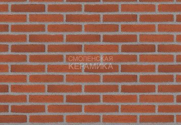 Клинкерный состаренный кирпич Randers Tegl Classica RT 307, ECO-DNF 228X50X54 мм 1