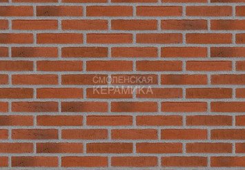 Клинкерный состаренный кирпич Randers Tegl Classica RT 481, ECO-DNF 228X50X54 мм 2