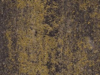 Тротуарная плитка Готика, "Шемрок / Трилистник Natur", 100 мм, лимончелло