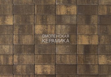 Тротуарная плитка BRAER Прямоугольник Color Mix Каштан, 60 мм 1