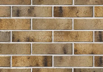 Кирпич керамический BRAER PRO 3.03 1 НФ 2