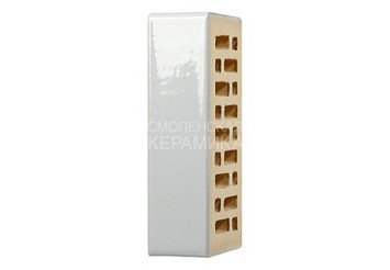 Кирпич керамический глазурованный RECKE GLANZ 1НФ арт. 1-88-01-0-00 6
