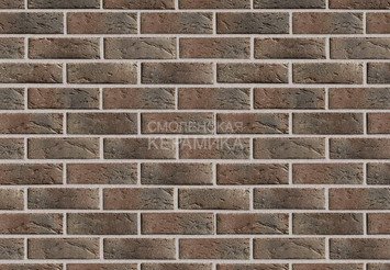 Кирпич керамический BRAER PRO 55.08.1, 1 НФ 4