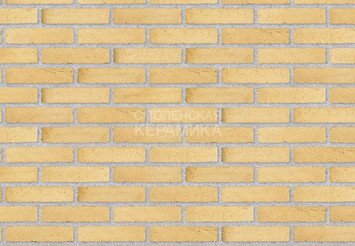 Клинкерный состаренный кирпич Randers Tegl Classica RT 410, DNF 228X108X54 мм 1