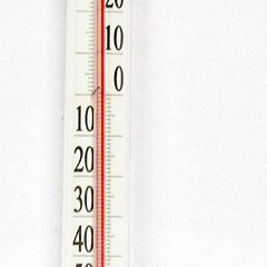 Термометр сувенирный наружный "Гвоздик" ТСН-4 в картоне (П.Т.З.)