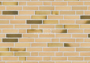 Клинкерный состаренный кирпич Randers Tegl Classica RT 412, DNF 228X108X54 мм 3