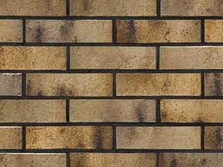 Кирпич керамический BRAER PRO 3.03 1 НФ