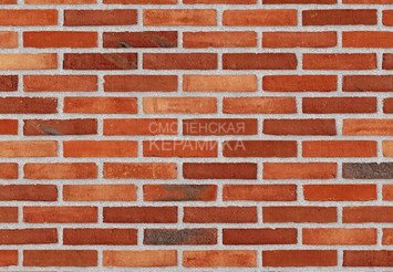 Клинкерный состаренный кирпич Randers Tegl Fusion RT 571, DNF 228X108X54 мм 2