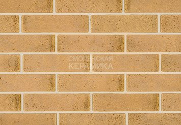 Кирпич облицовочный СТРОМА, 1,4НФ Кортес 1