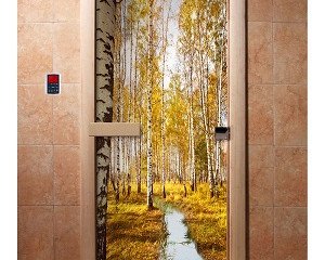 Дверь бан. DW (с фотопечатью) 1900*700 кор. ольха А082