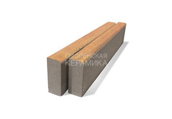 Бордюр тротуарный BRAER БР 100.20.8 COLOR MIX «Прайд» 1