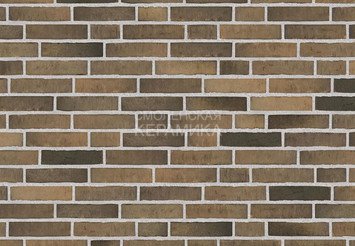 Клинкерный состаренный кирпич Randers Tegl Unika RT 517, ECO-DNF 228X50X54 мм 1