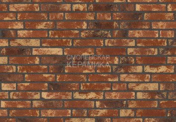 Полнотелый кирпич ручной формовки Randers Tegl Rustica RT 453, ECO-HF 220X50X65 мм 3