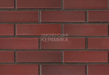 Кирпич лицевой керамический RECKE 1НФ арт. 5-92-00-0-00 7
